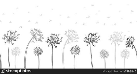 Seamless dandelion pattern, horizontal background with hand drawn plants and seeds. Vector illustration for banner, card, kitchen design. Seamless dandelion pattern, vector seamless background with hand drawn plants and seeds
