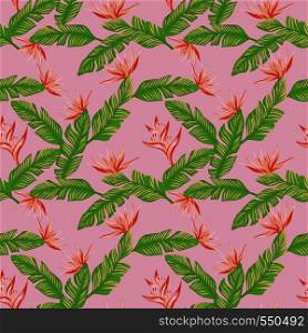 Seamless exotic composition from green tropical banana leaves and orange flowers bird of paradise (strelizia) on the fashion pink background