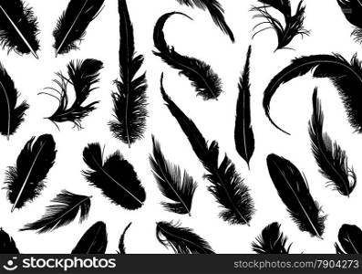 Seamless feathers isolated on white