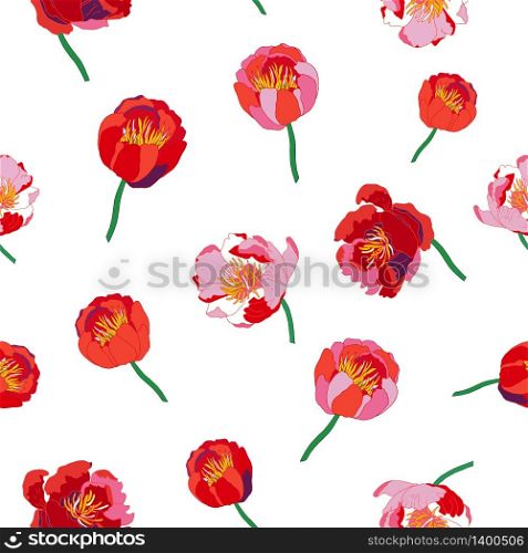 Seamless floral background. Isolated red flowers on white background. Vector illustration.. Seamless floral background. Isolated red flowers on white backg