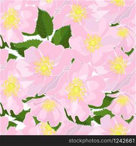 Seamless floral dog-rose background in realistic hand-drawn style. Vector illustration.. Seamless floral dog-rose background in realistic hand-drawn style.