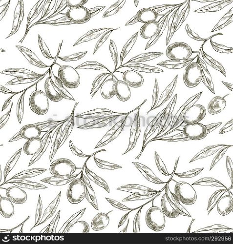 Seamless hand drawn pattern with olive tree branches. Sketch Eco botanical background