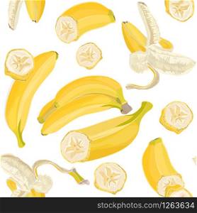 Seamless hand drawn tropical pattern with banana fruit on white background. Fashion textile print, summer floral wallpaper. Vector illustration, botanical drawing. Seamless hand drawn tropical pattern with banana fruit on white background