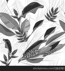 Seamless hand drawn tropical pattern with palm leaves, jungle exotic leaf on white background. Fashion textile print, summer floral wallpaper. Vector illustration, botanical drawing. Seamless hand drawn tropical pattern with palm leaves, jungle exotic leaf on white background