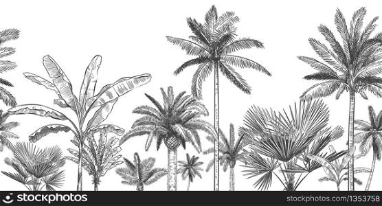 Seamless horizontal tropical background. Hand drawn palm trees, sketch exotic tropic jungle leaves and paradise palm tree vector wallpaper illustration. Exotic palm tree botanical, rainforest foliage. Seamless horizontal tropical background. Hand drawn palm trees, sketch exotic tropic jungle leaves and paradise palm tree vector wallpaper illustration