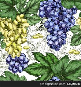 Seamless patter, grapes, colored hand drawn vector illustrations.