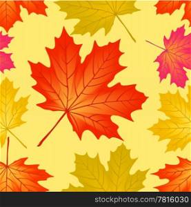 Seamless pattern autumn maple leaves.