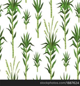 Seamless pattern bamboo tree. Sugarcane plant background, green cane stems isolated on white, leaves repeat, tropical nature design, vertical branches, decor textile, wrapping paper, vector print. Seamless pattern bamboo tree. Sugarcane plant background, green cane stems isolated, leaves repeat, tropical nature design, vertical branches, decor textile, wrapping paper, vector print