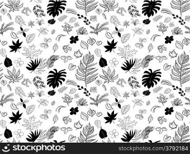 Seamless pattern drawing of leaves on white background