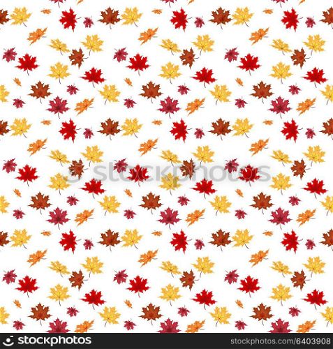 Seamless Pattern From Natural Maple Leaves. Vector Illustration. EPS10. Seamless Pattern From Natural Maple Leaves. Vector Illustration.