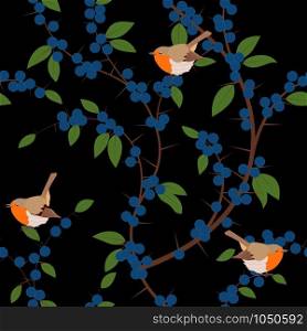 Seamless pattern of Blackthorn berries and robin birds. Vector illustration. Seamless pattern of Blackthorn berries and robin birds