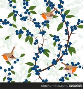 Seamless pattern of Blackthorn berries and robin birds. Vector illustration. Seamless pattern of Blackthorn berries and robin birds