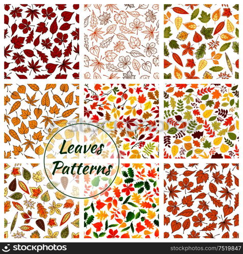 Seamless pattern of leaves. Color elements of birch, rowan, maple, elm, polar, oak, aspen leaf icons. Autumn forest foliage fall decorative background with silhouette, outline, linear shapes. Seamless patterns of trees leaves