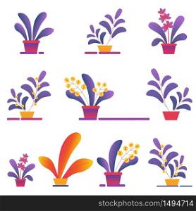 Seamless Pattern of Money Houseplants in Pots on White Background. Tropical House Plants Creative Floral Texture for Fabric, Wrapping Paper, Textile. Botanical Ornament, Print Flat Vector Illustration. Seamless Pattern of Money Homeplants Grow in Pots