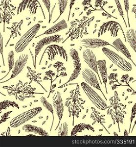 Seamless pattern of organic foods. Cereals, rice, grains. Cereal organic pattern, seed and grain of wheat, vector illustration. Seamless pattern of organic foods. Cereals, rice, grains