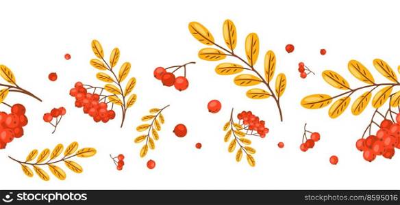 Seamless pattern of rowan with berries. Image of seasonal autumn plant.. Seamless pattern of rowan with berries. Image of autumn plant.