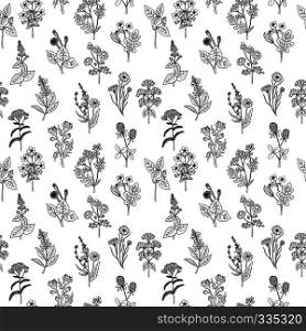 Seamless pattern of various hand drawn herbs and flowers. Background in black and white colors. Graphic style. Vector illustration. Seamless pattern of various hand drawn herbs and flowers. Background in black and white colors. Graphic style