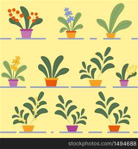 Seamless Pattern of Various Potted Flowering House Plants on Shelves on Yellow Background. Homeplants, Floral Texture, Fabric, Wrapping Paper, Textile. Botanical Ornament Flat Vector Illustration. Seamless Pattern of Potted Flowering House Plants