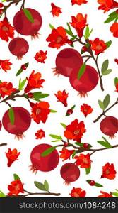 Seamless pattern pomegranate fruits with flower on white background, Fresh organic food, Red ruby fruits pattern. Vector illustration.