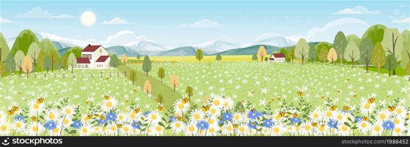 Seamless pattern Spring field with fluffy cloud on blue sky,Vector background banner Endless Cute cartoon panorama rural landscape green grass with honey bee flying on flowers in sunny day Summer