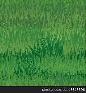 Seamless pattern - texture of grass - background for natural or eco design. Ready to use as swatch.