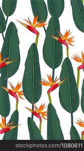 Seamless pattern tropical leaves with bird of paradise on white background