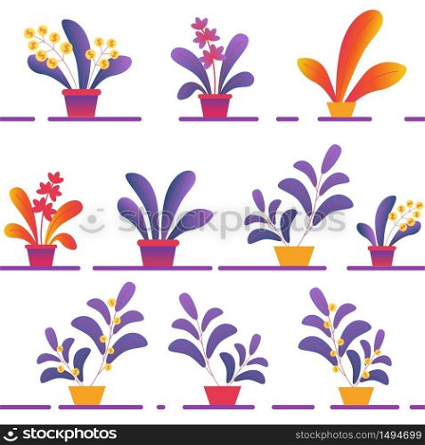 Seamless Pattern Various Potted House Plants on Shelves on White Background. Blooming House Plants, Floral Texture, Fabric, Wrapping Paper, Textile. Botanical Ornament, Print Flat Vector Illustration. Seamless Pattern of Various Potted Homeplants