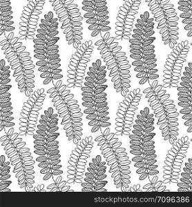 Seamless pattern with acacia leaves. Line art Vector background for packaging, textile and fabric.. Seamless pattern with acacia leaves. Line art Vector background for packaging, textile and fabric design