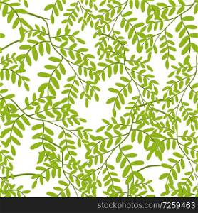 Seamless pattern with acacia leaves. Tropical jungle plants. Woody natural rainforest.. Seamless pattern with acacia leaves.
