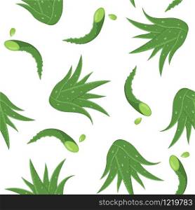 Seamless pattern with aloe vera medicinal plant cut leaves isolated on white background. Cartoon style. Vector illustration for any design.
