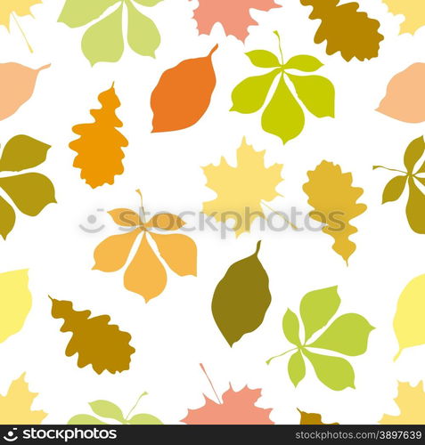 Seamless pattern with autumn motifs. The leaves of different trees on a white background.