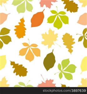 Seamless pattern with autumn motifs. The leaves of different trees on a white background.