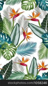 Seamless pattern with bird of paradise: tropical leaves,palms, monstera, alocasia, calathea, jungle leaf seamless vector pattern. Swimwear botanical design. Vector.