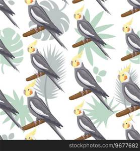 Seamless pattern with cartoon grey cockatiels sitting on branches. Flat little colorful exotic Australian parrots. Vector illustration. Good for T-shirts, posters, book covers, banners.. Seamless pattern with cartoon grey cockatiels sitting on branches. Flat little colorful exotic Australian love parrots with tropical leaves. Vector illustration with birds. Domestic pets.
