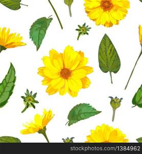 Seamless pattern with chrysanthemums flowers. Vector floral set with isolated colorful yellow plants. Golden-daisy.. Seamless pattern with chrysanthemums flowers. Vector floral back
