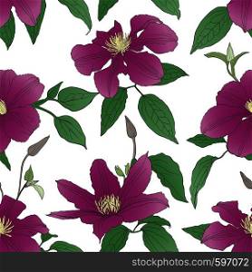Seamless pattern with Clematis flowers isolated on white background. Design element for textile, fabric, wallpaper, scrapbooking. Vector illustration.. Seamless pattern with Clematis flowers.