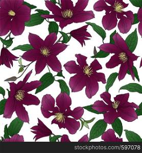 Seamless pattern with Clematis flowers isolated on white background. Design element for textile, fabric, wallpaper, scrapbooking. Vector illustration.. Seamless pattern with Clematis flowers.