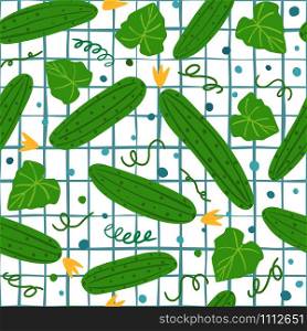 Seamless pattern with cucumber on white background. Vegetable wallpaper. Design for fabric, textile print, wrapping paper, textile, restaurant menu. Vector illustration. Seamless pattern with cucumber on white background.