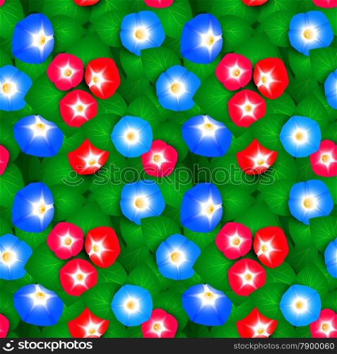 Seamless pattern with flowers ipomoea morning glory