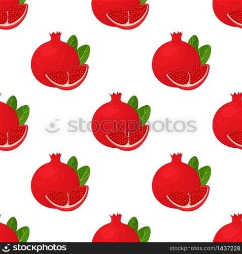 Seamless pattern with fresh bright exotic whole and chunk pomegranate with leaves on white background. Summer fruits for healthy lifestyle. Organic fruit. Vector illustration for any design. Seamless pattern with fresh bright exotic whole and chunk pomegranate with leaves on white background. Summer fruits for healthy lifestyle. Organic fruit. Vector illustration for any design.