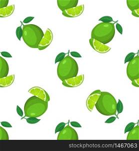 Seamless pattern with fresh bright exotic whole and cut slice lime fruit on white background. Summer fruits for healthy lifestyle. Organic fruit. Cartoon style. Vector illustration for any design.