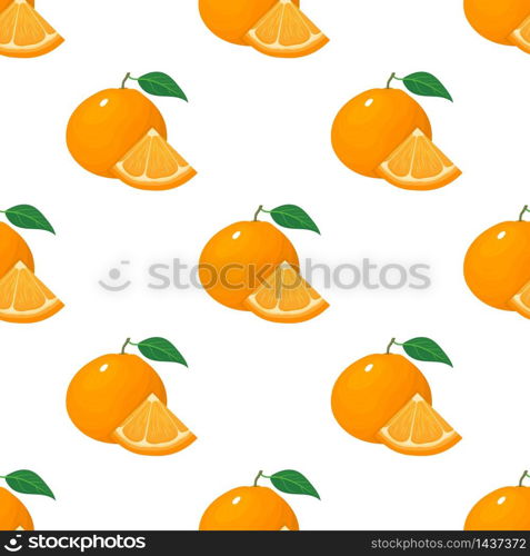 Seamless pattern with fresh bright exotic whole and slice tangerine or mandarin isolated on white background. Summer fruits for healthy lifestyle. Organic fruit. Vector illustration for any design. Seamless pattern with fresh bright exotic whole and slice tangerine or mandarin isolated on white background. Summer fruits for healthy lifestyle. Organic fruit. Vector illustration for any design.