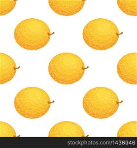 Seamless pattern with fresh whole melon fruit on white background. Honeydew melon. Summer fruits for healthy lifestyle. Organic fruit. Cartoon style. Vector illustration for any design.