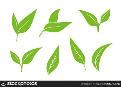 Seamless pattern with green tea leaves on white vector image