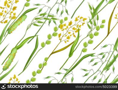 Seamless pattern with herbs and cereal grass. Floral ornament of meadow plants. Seamless pattern with herbs and cereal grass. Floral ornament of meadow plants.