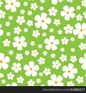 Seamless Pattern with Meadow Alpic Flowers.. Seamless pattern with meadow Alpic flowers. White flowers isolated on green background. For posters, covers, wrapping papers, wallpapers design. Modern graphic in flat style. Vector illustration