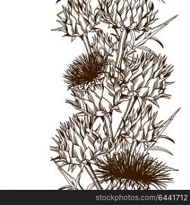 Seamless pattern with onopordum acanthium. Scottish thistle. Seamless pattern with onopordum acanthium. Scottish thistle.
