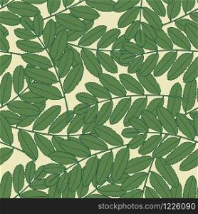 Seamless pattern with outline green leaves. Botanical wallpaper. Summer vintage leaf. Textile ornament. Design for fabric, textile print, wrapping paper. Vector illustration. Seamless pattern with outline green leaves. Botanical wallpaper. Summer vintage leaf.