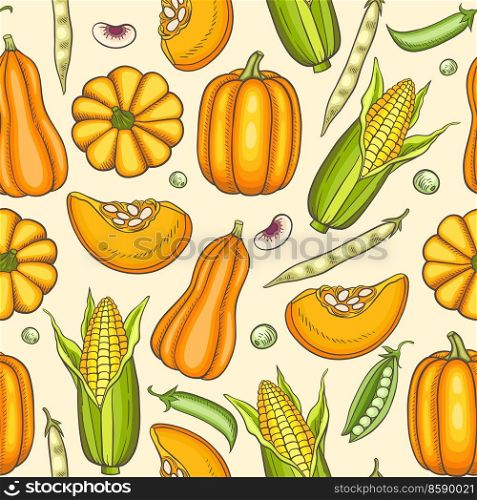 Seamless pattern with ripe orange pumpkins and corn. Hand drawn vector background. 