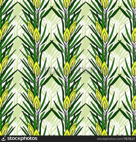 Seamless pattern with rooibos plant. Herbal tea packaging design. Vector nature print. Seamless pattern with rooibos plant. Herbal tea packaging design. Vector nature print.